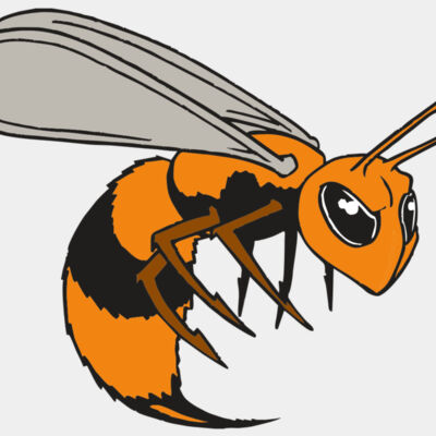 AR BEE 34 RC Thumbnail