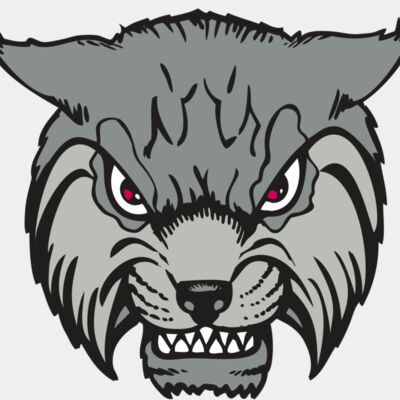 BAW BOBCAT 02 RC Thumbnail