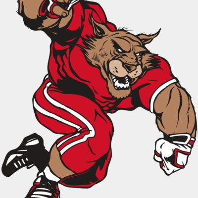 AR WILDCAT 32 RC Thumbnail