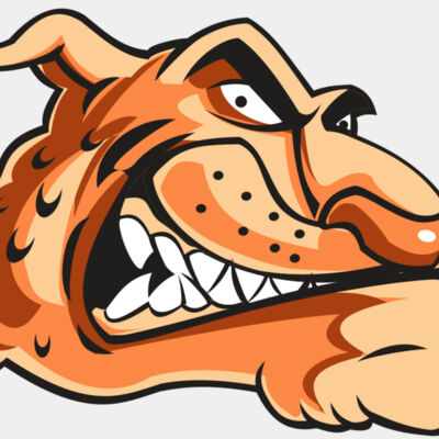 CHEETAH HD0503 RQC Thumbnail