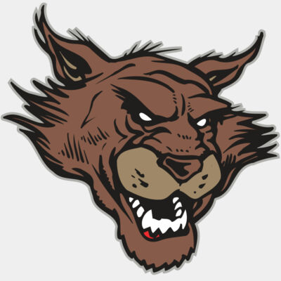 AR WILDCAT 11 RC Thumbnail