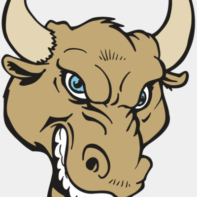 AR5 BULL 13 RQC Thumbnail