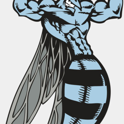 BAW BEE 08 RC Thumbnail