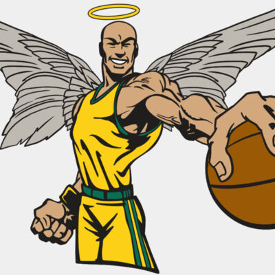 AR17 ANGEL BSKT 06 RQC Thumbnail