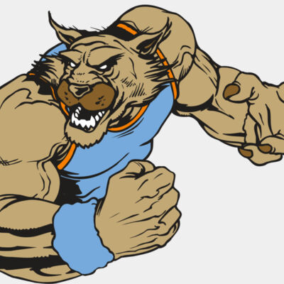 AR WILDCAT 46 RC Thumbnail