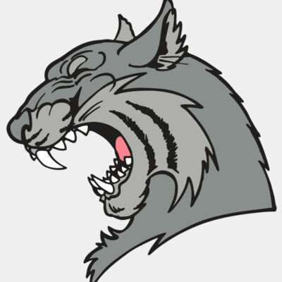 AR WILDCAT 41 RC Thumbnail