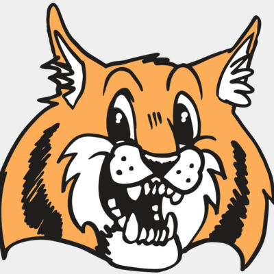 AR WILDCAT 13 RC Thumbnail