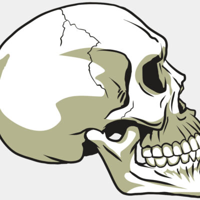 AR24 SKULL 12 RQC Thumbnail