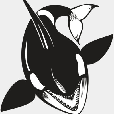 BAW KLRWHALE 01 RC Thumbnail