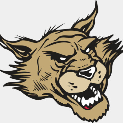 AR WILDCAT 39 RC Thumbnail