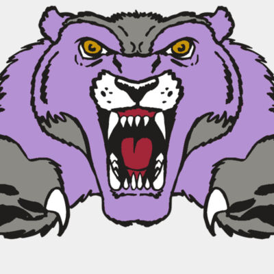 AR WOLVERINE 17 RC Thumbnail