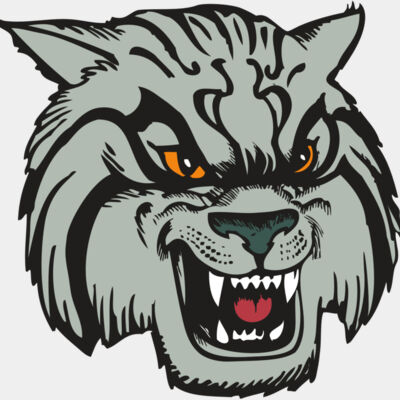 BAW WILDCAT 03 RC Thumbnail