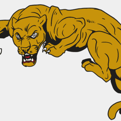 AR10 PANTHER 02 RQC Thumbnail