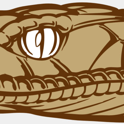 BAW SNAKE 12 RC Thumbnail