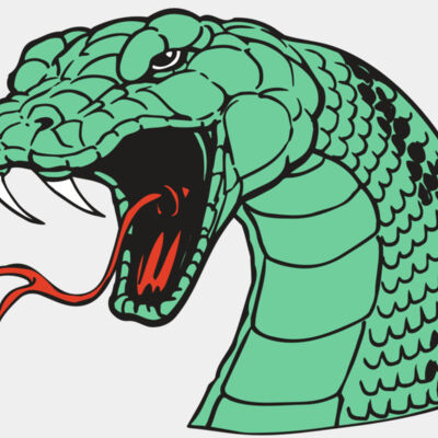 AR SNAKE 10 RC Thumbnail