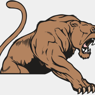 AR COUGAR 55 RC Thumbnail