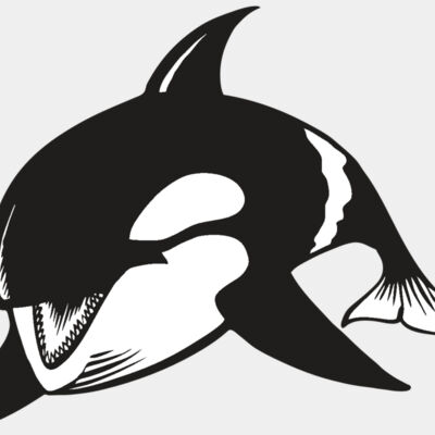 BAW KLRWHALE 04 RC Thumbnail