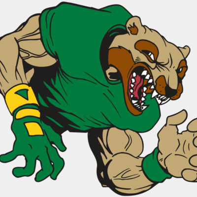 AR5 Wolverine 17 RQC Thumbnail