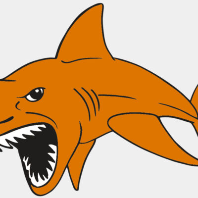 AR  SHARK 20 RC Thumbnail