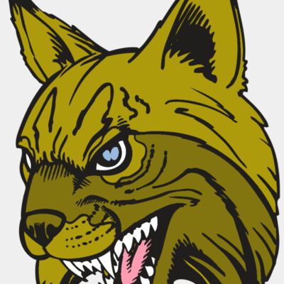 BAW BOBCAT 05 RC Thumbnail