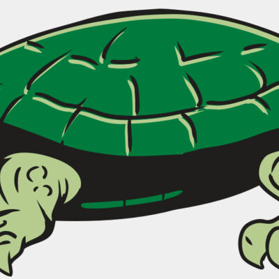 AR32 TURTLE 01 RQC Thumbnail