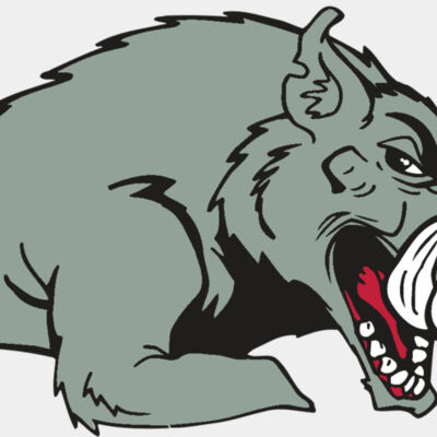 AR RAZORBACK 14 RC Thumbnail