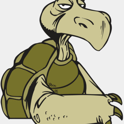 AR5 Turtle 01 RQC Thumbnail