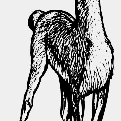 South America Thumbnail