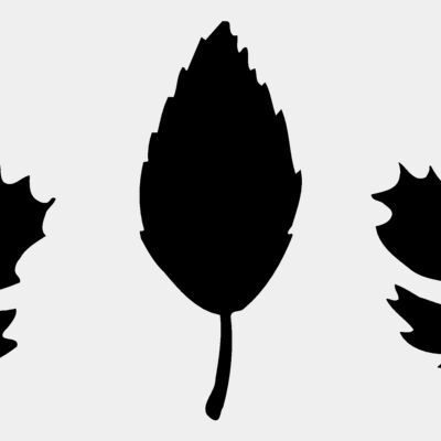 Leaves Thumbnail